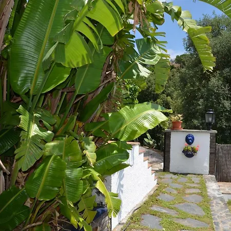 Sea View, Wonderful Pool, Nature, Peaceful & Ac *